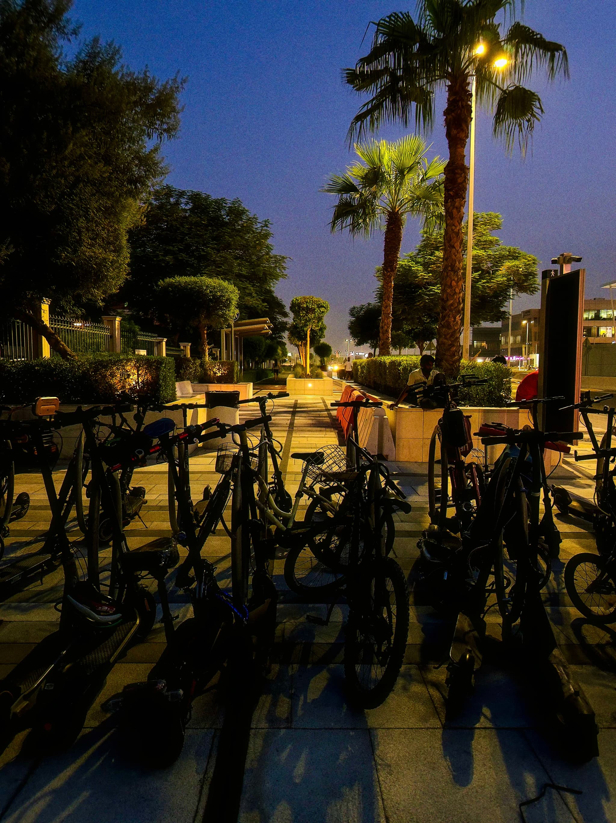 A Peaceful Evening 🌆