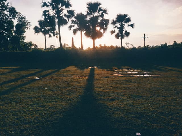 Place where I used to play football ⚽