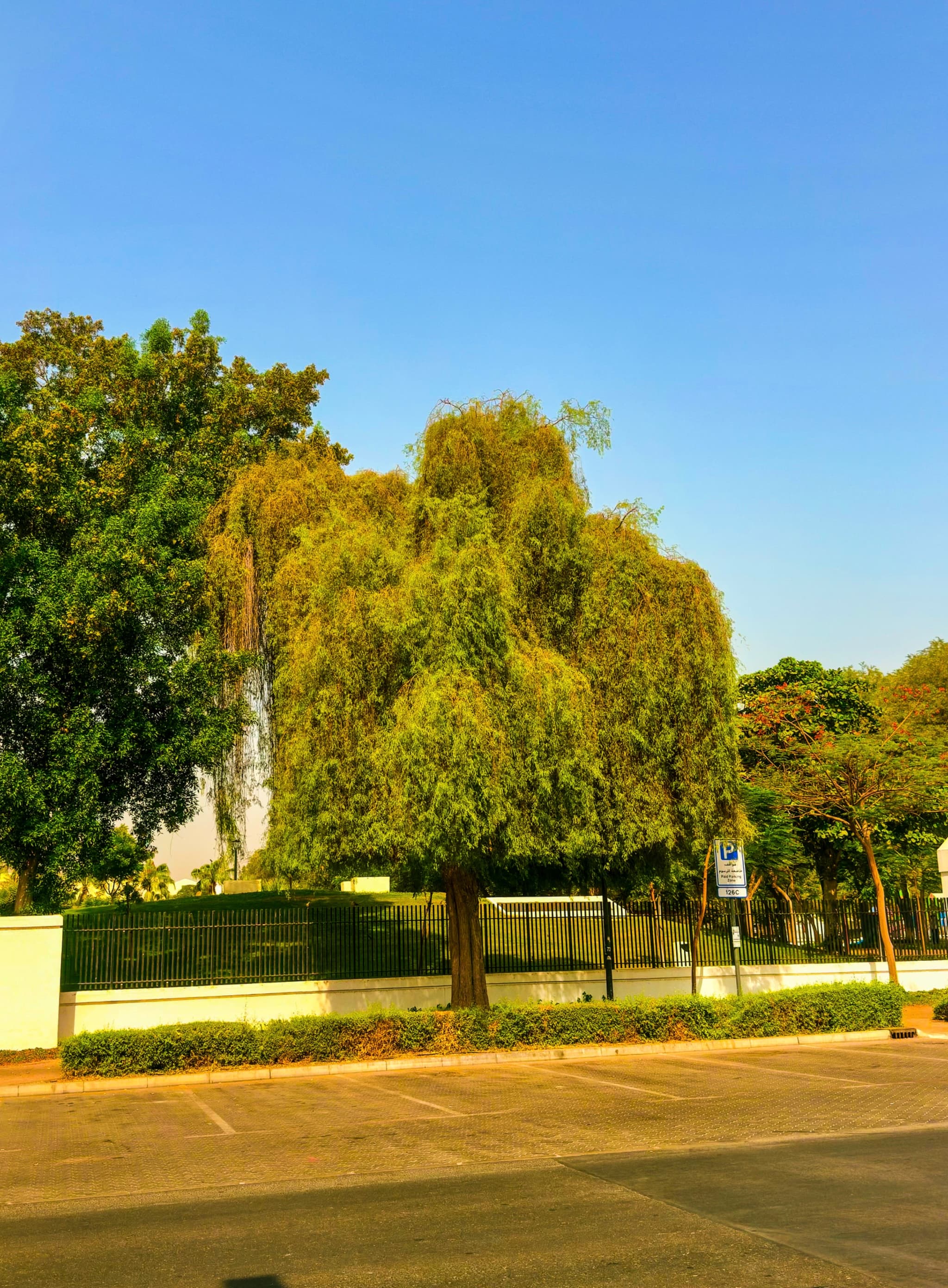 Beautiful Weather ☀️