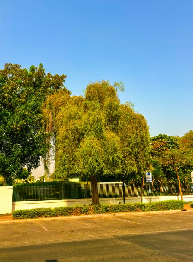 Beautiful Weather ☀️