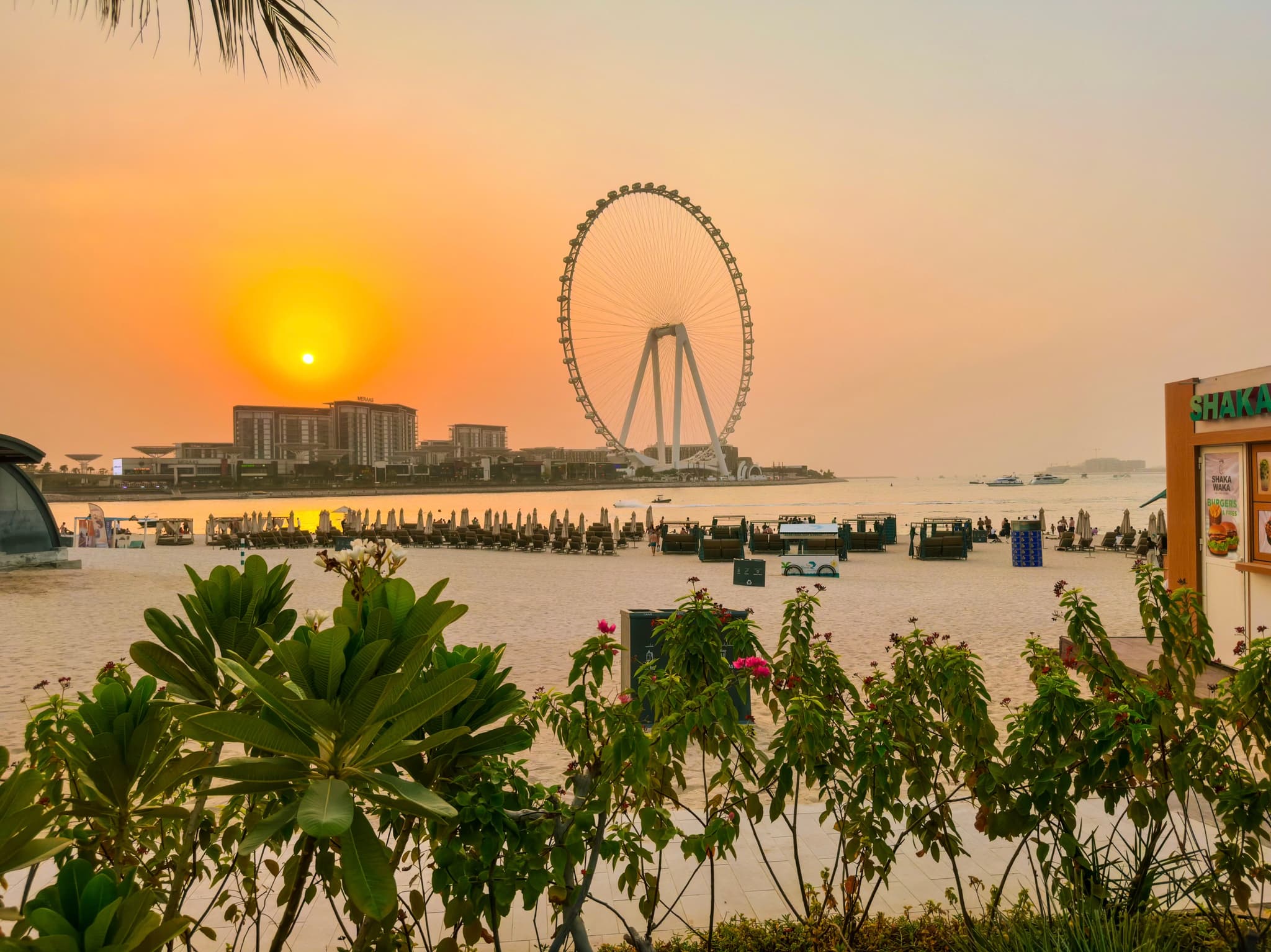 Marina Beach 🏖️
