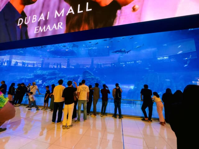 Dubai Aquarium & Underwater Zoo