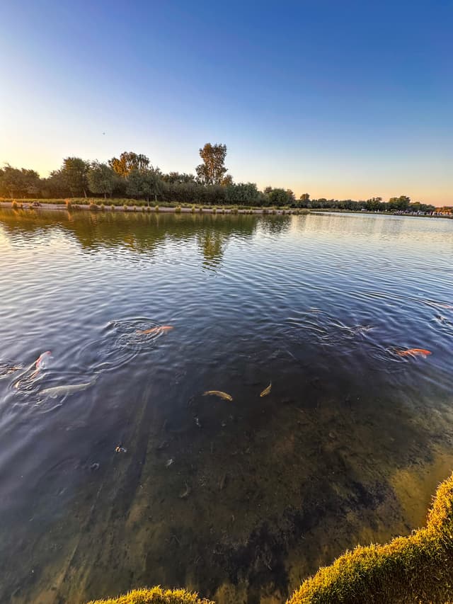 Still Water, Small Lives