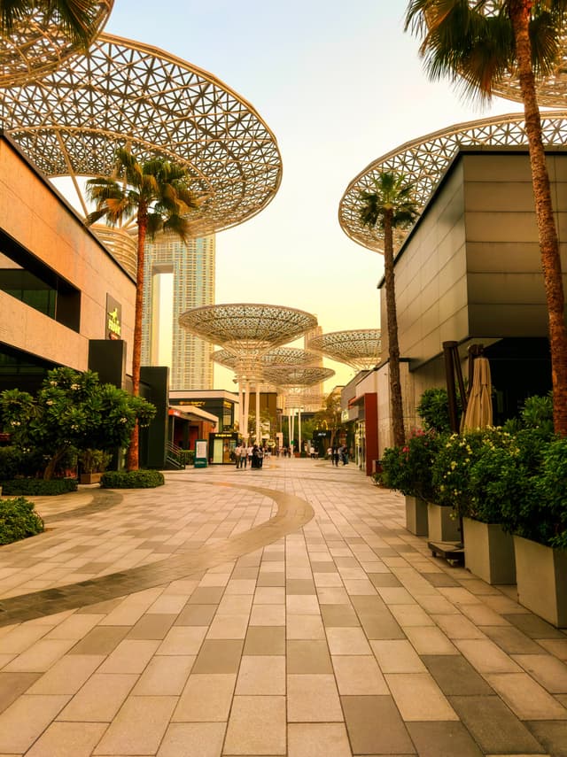 A beautiful afternoon 🔅