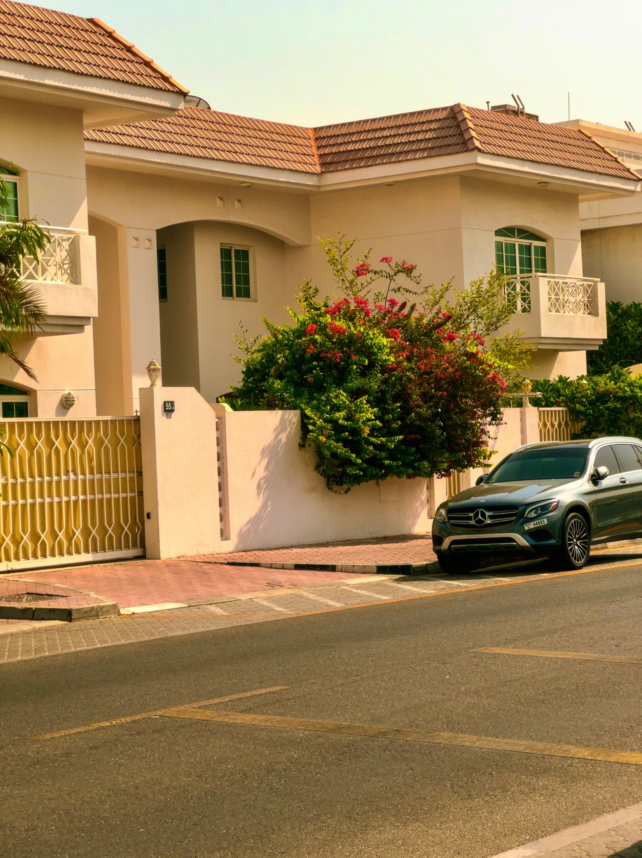 The beauty of these flowers ✨