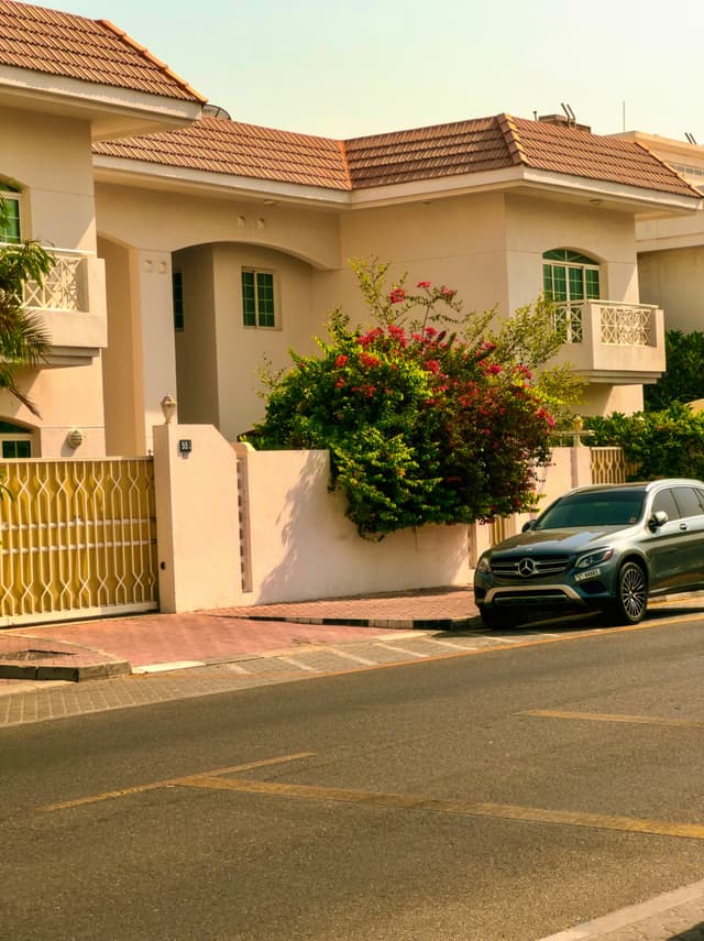 The beauty of these flowers ✨