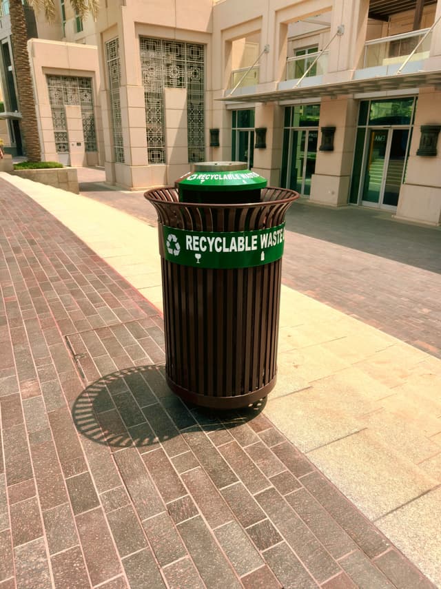 The Bin