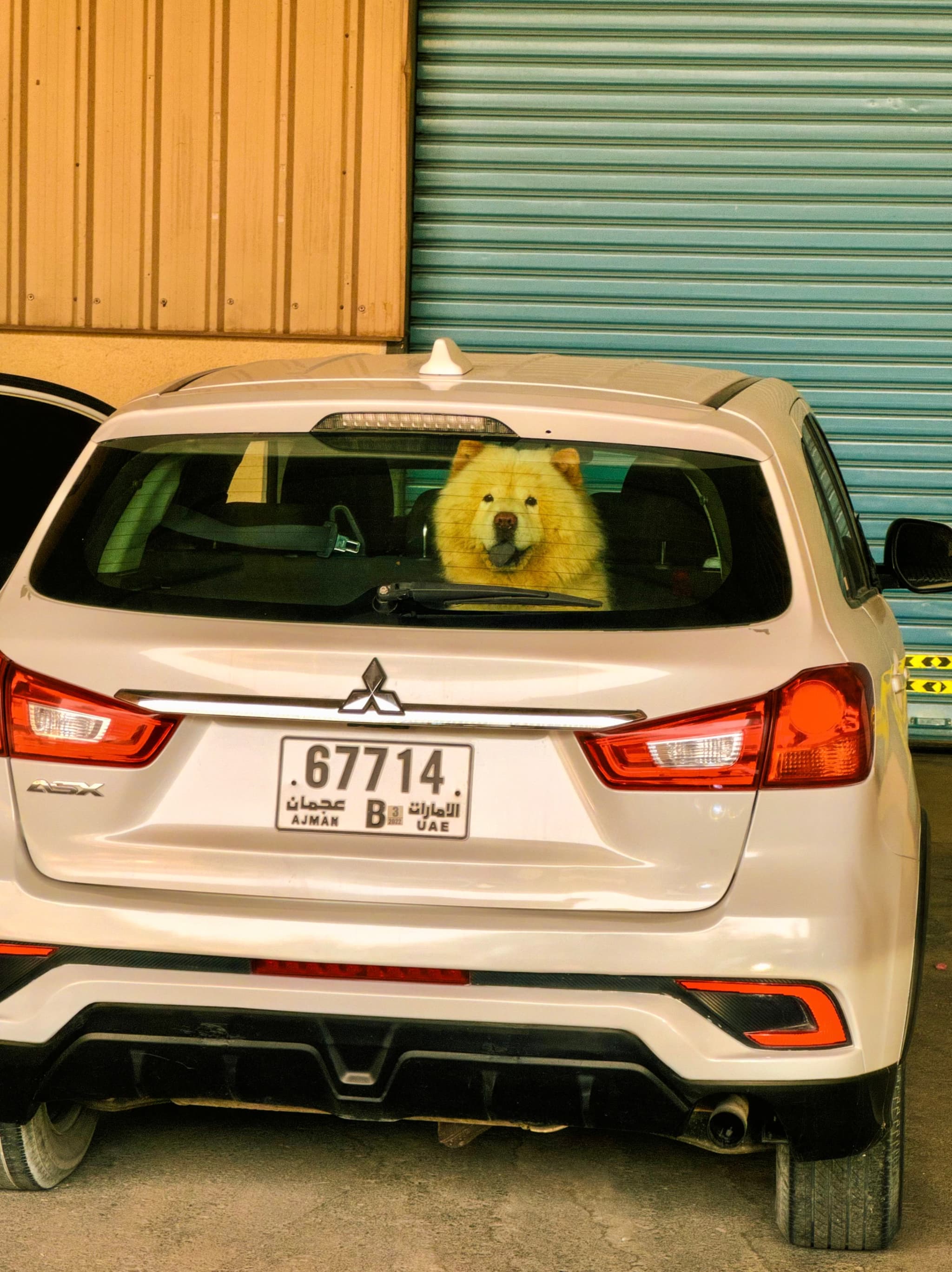 Smiling at me 🐶