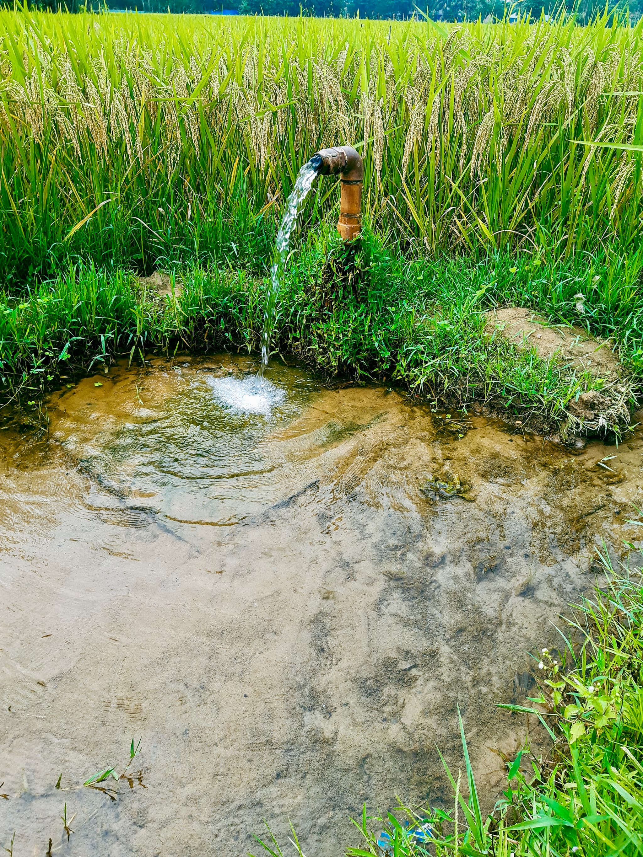 Deep Well Water