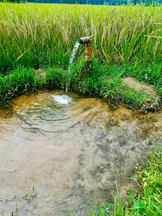 Deep Well Water