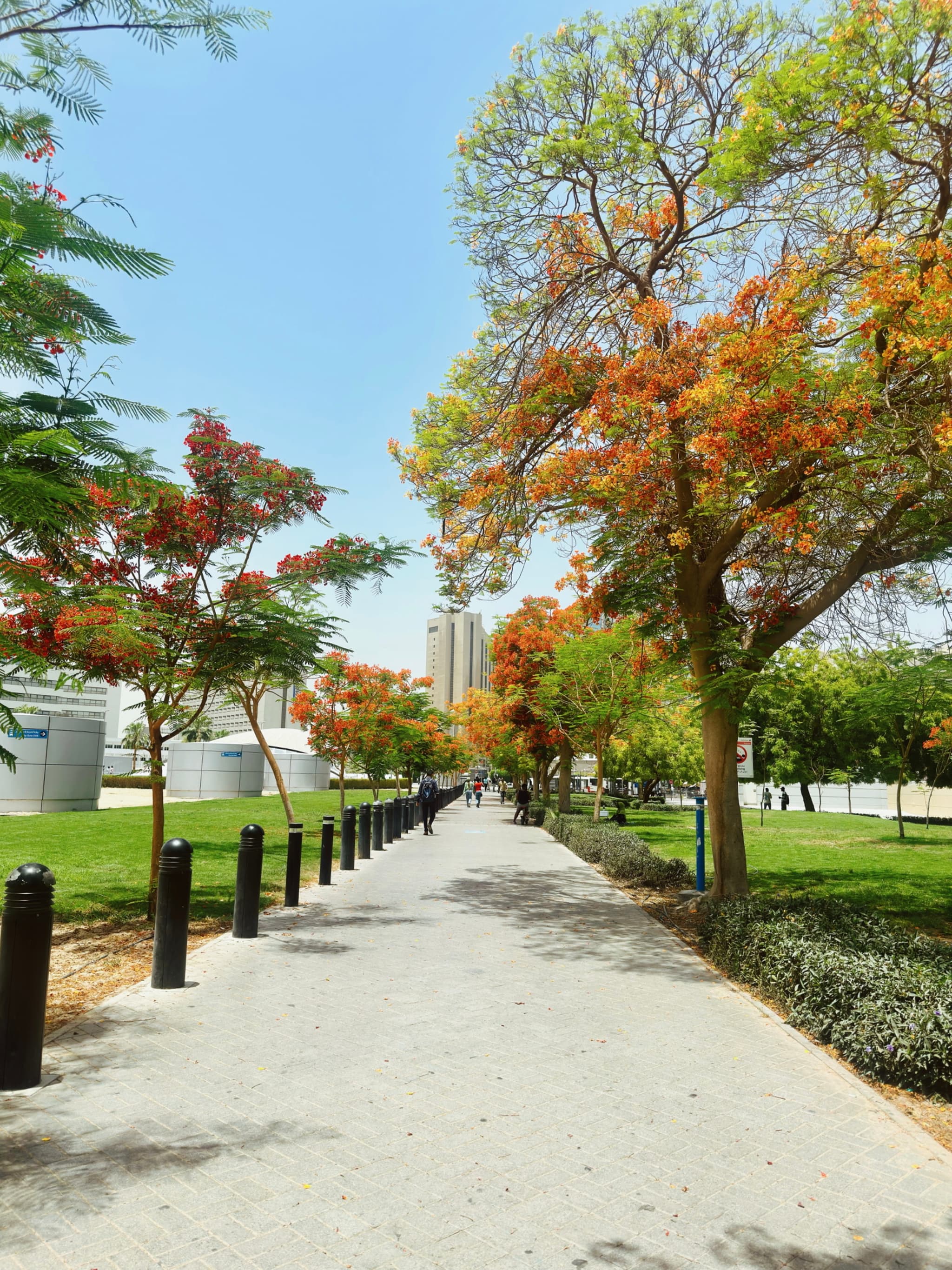 Dubai Union