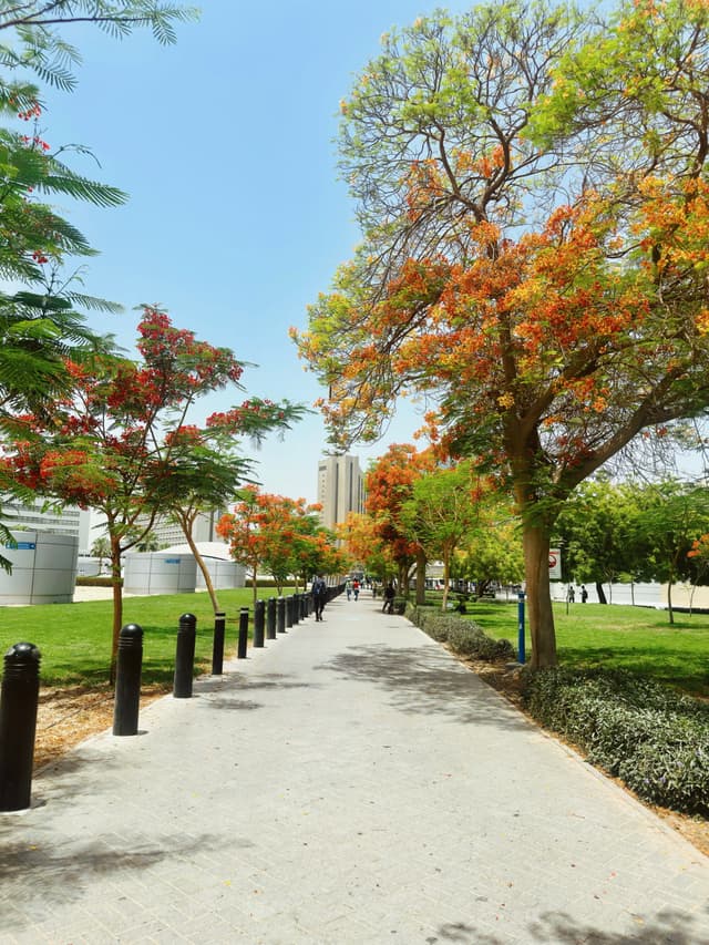 Dubai Union