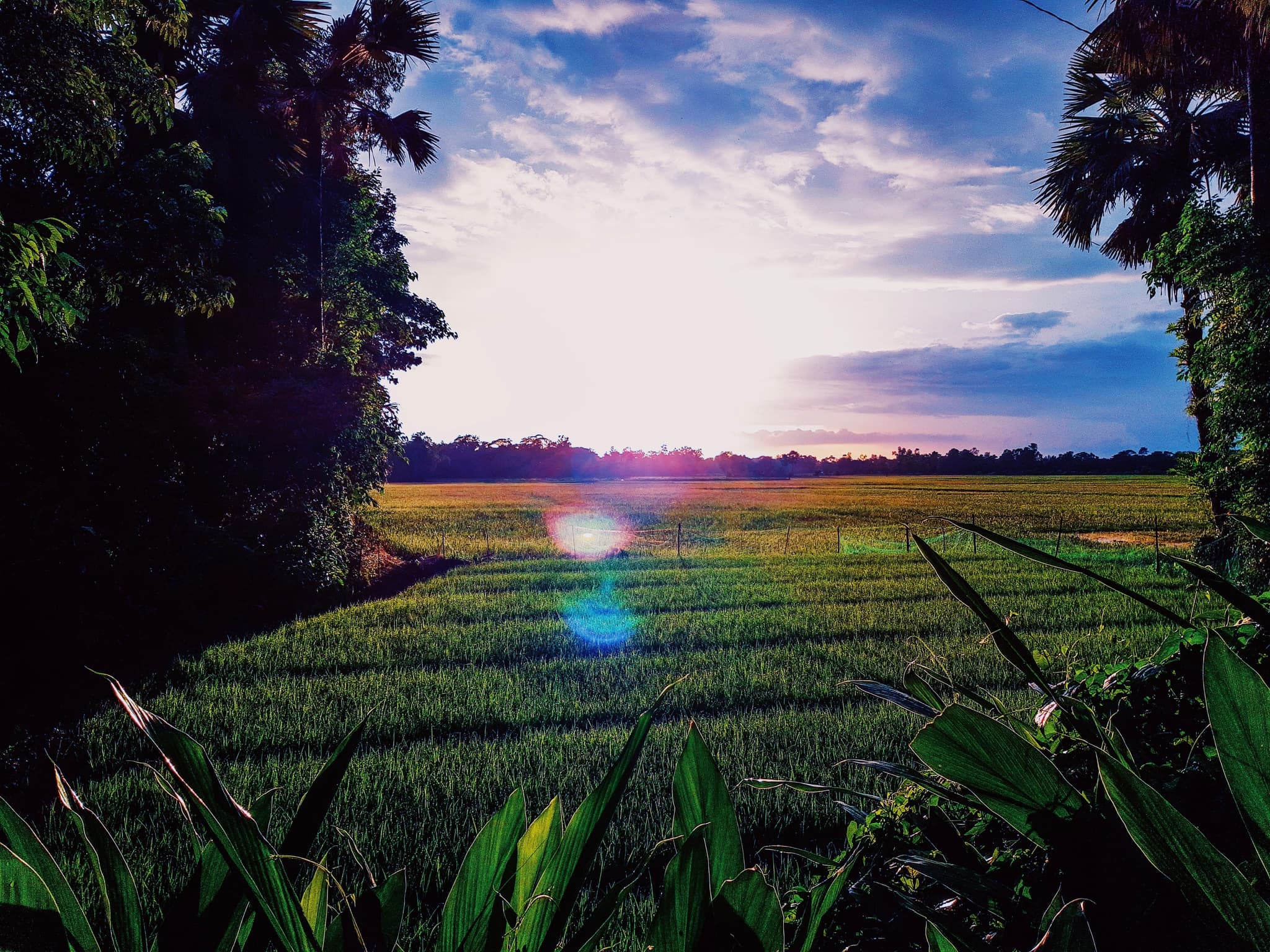 view after rain